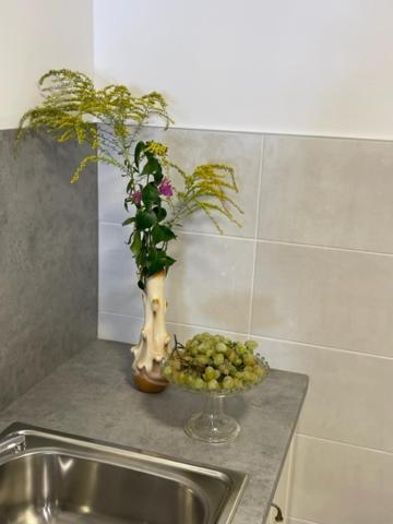 Apartment Concetta Cres Bagian luar foto